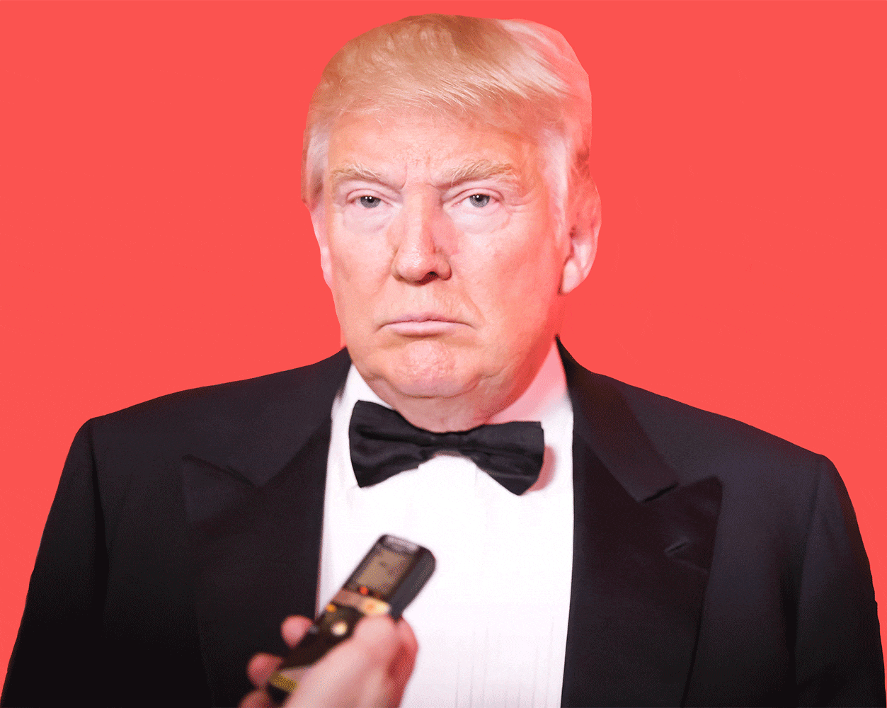 This Robot Literally Roasts Trump Everytime He Tweets