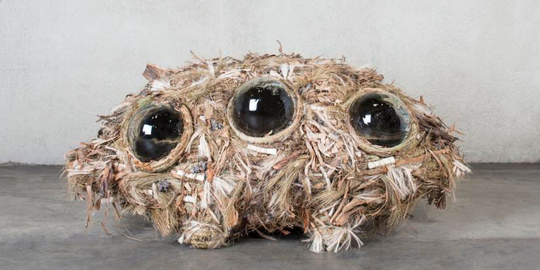 10 Must-See Art Shows Opening This Week