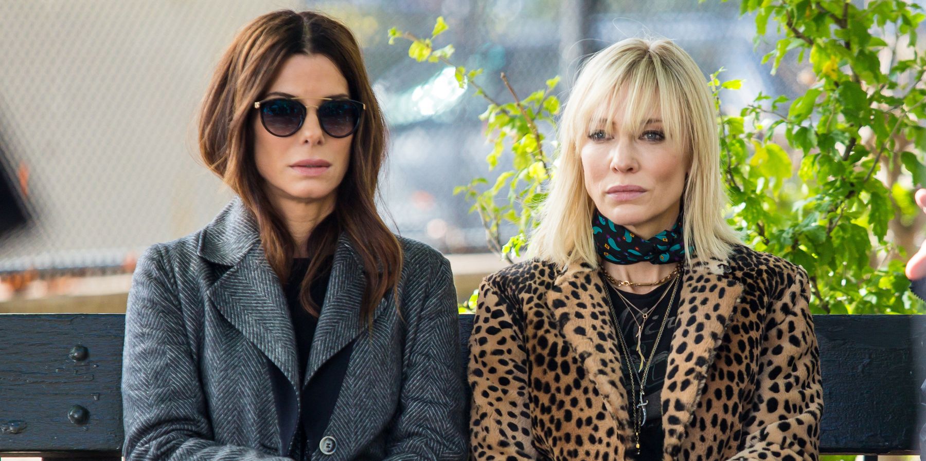 The Secret to Sandra Bullock and Cate Blanchett's Perfect Skin? Penises