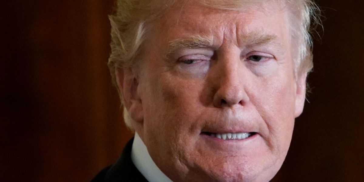 The Best Twitter Reactions to the Trump Dick Pic Rumors