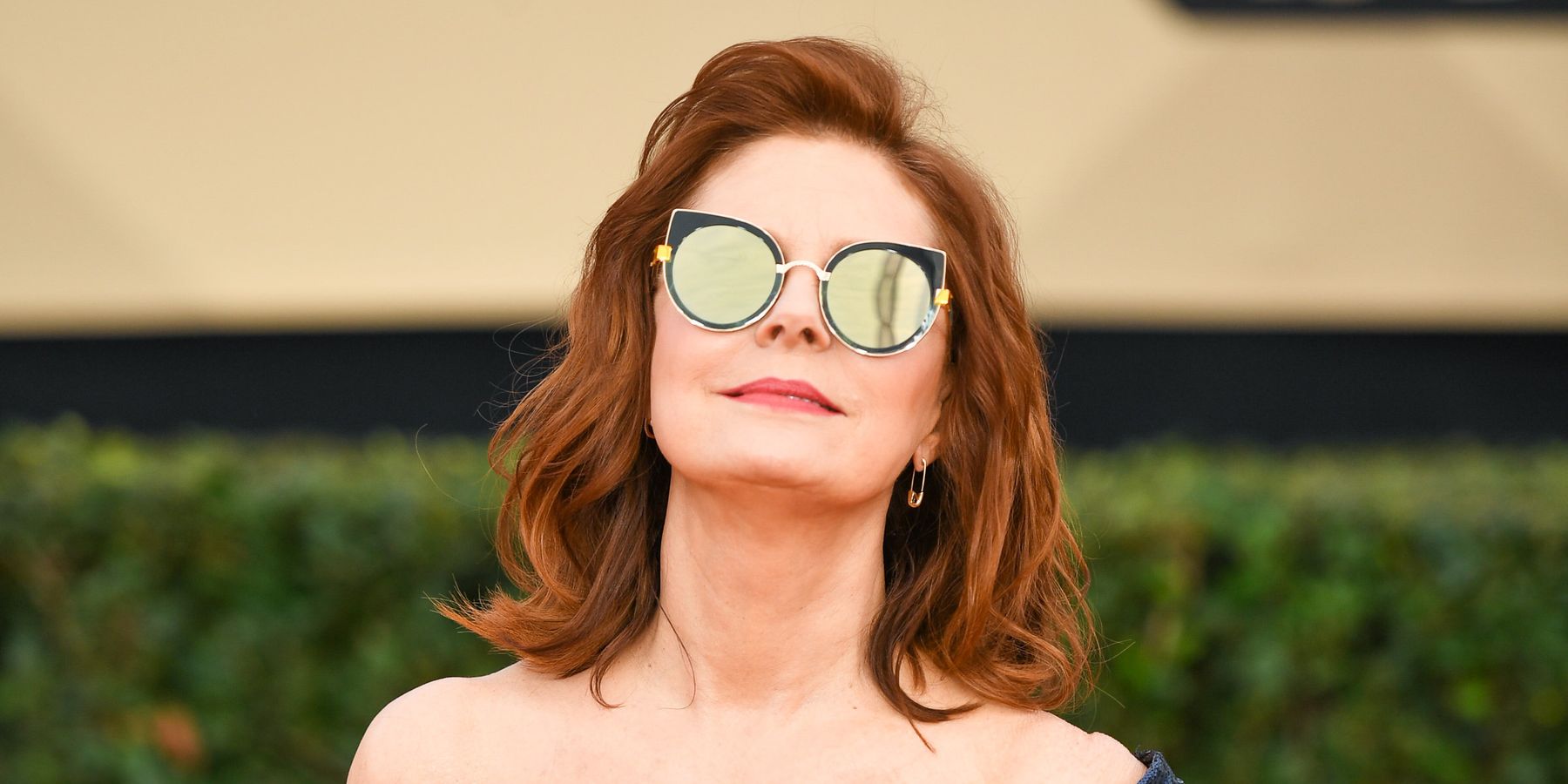 Susan Sarandon Wants You To Get Rid Of Facebook