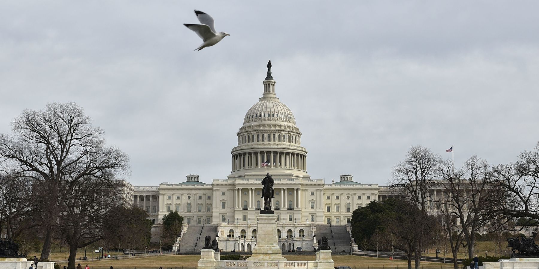 U.S. Close to Electing First Ever Native American Congresswoman