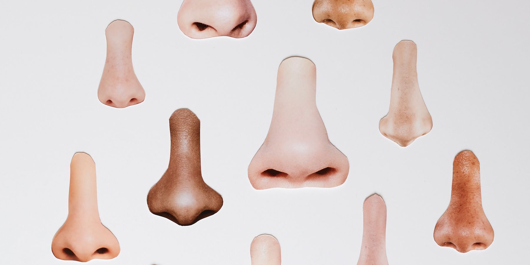 Scent Club: The Berlin Art Collective Obsessed with Smells