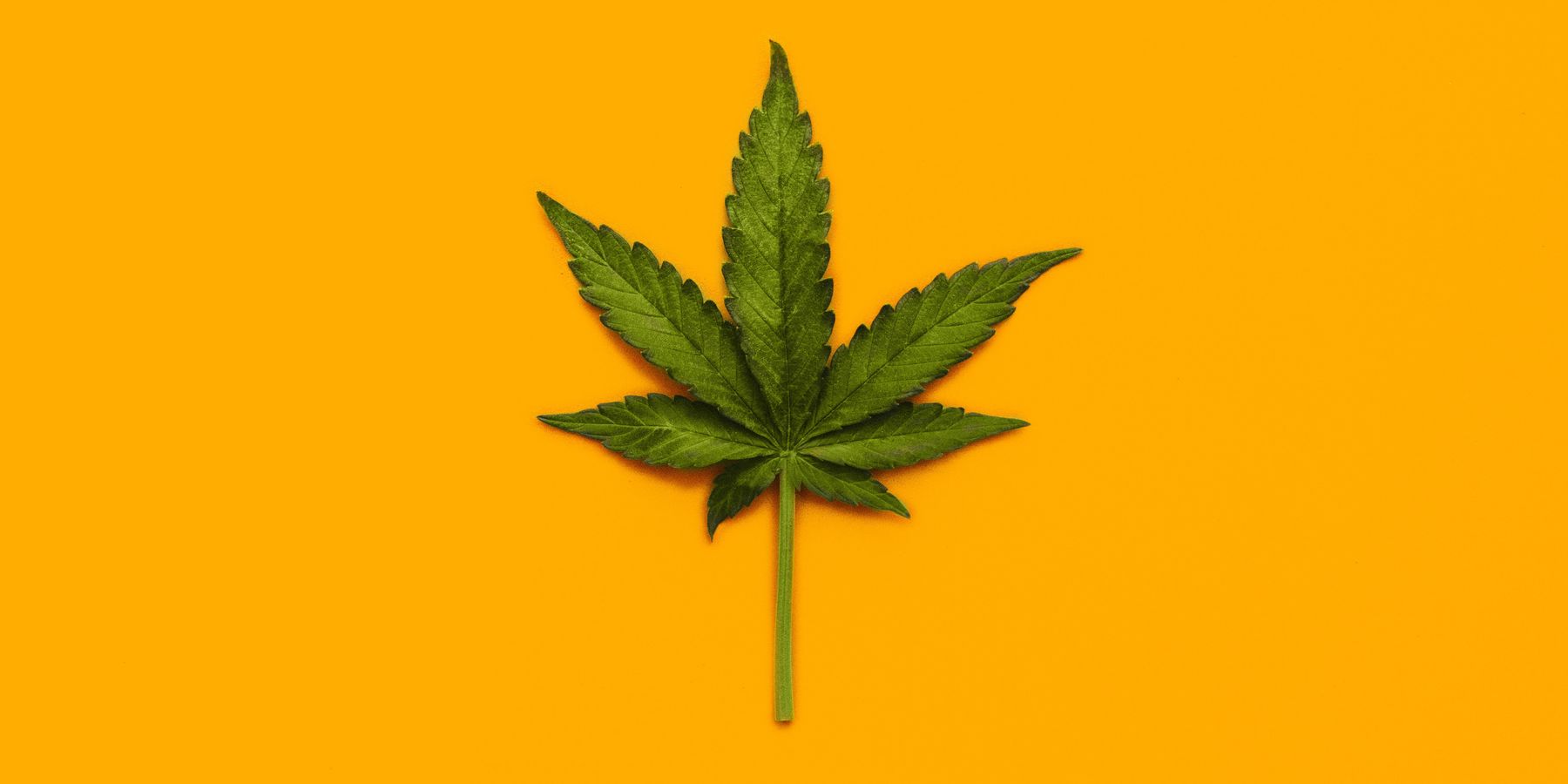 Medical Marijuana Officially Legalized In the UK