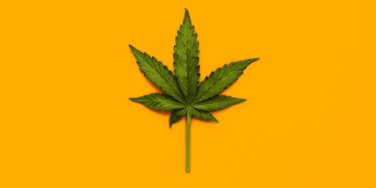 Top 5 Weed Strains