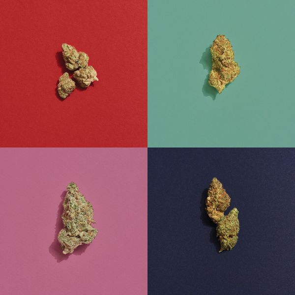 Top 5 Weed Strains