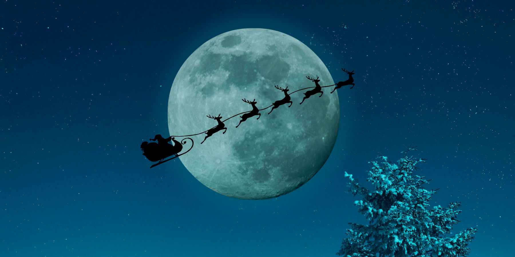 Why Santa Claus and Magic Mushrooms Have More in Common Than You Think