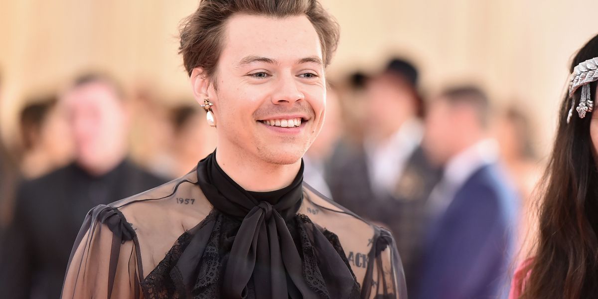 Harry Styles Is Blessing Us With Two Gay Sex Scenes