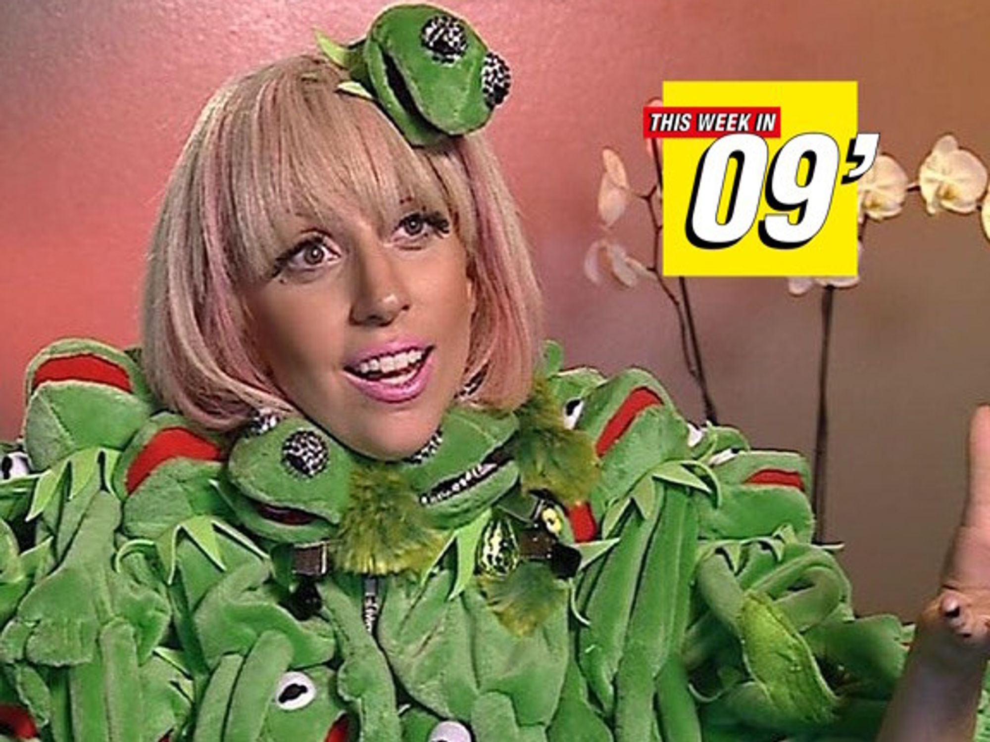lady gaga kermit the frog dress queen of fashion no doubt : r/LadyGaga lady gaga w/ mini kermit