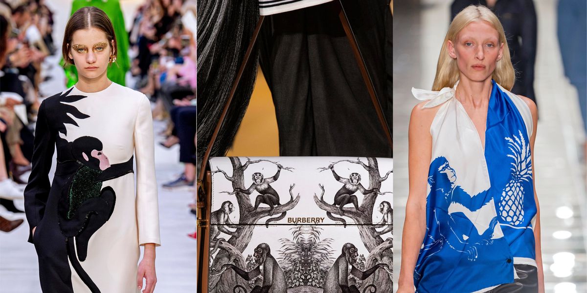 Why Are Monkeys Suddenly Trending?