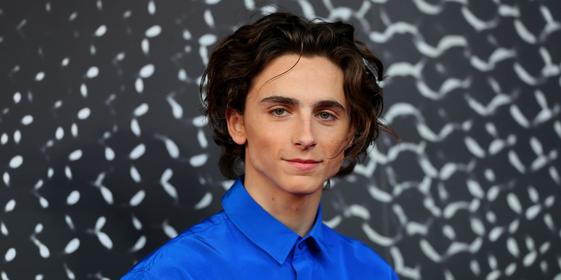 Timothée Chalamet Is Taking a Break From Acting