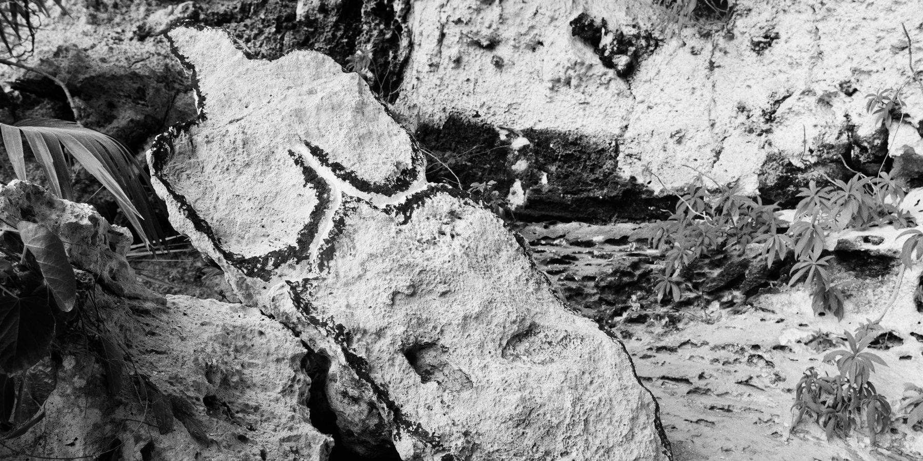 See Ana Mendieta's Cave Art Up Close