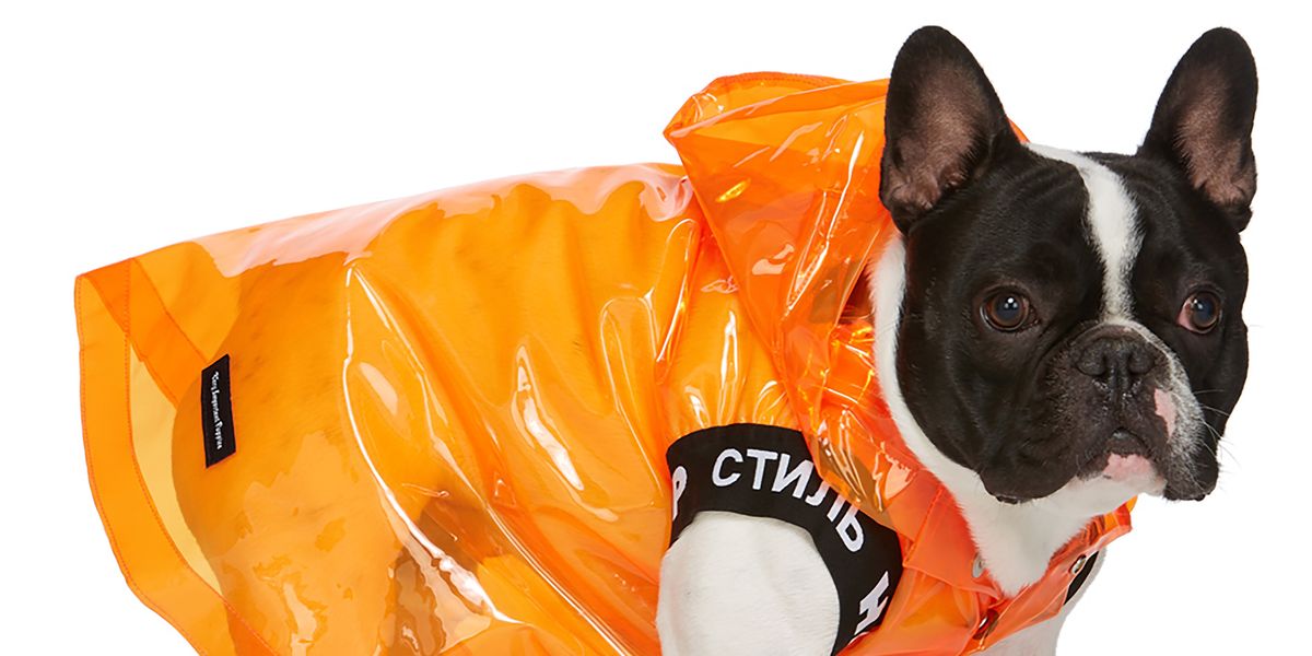 Imagine Dressing Your French Bulldog in Heron Preston