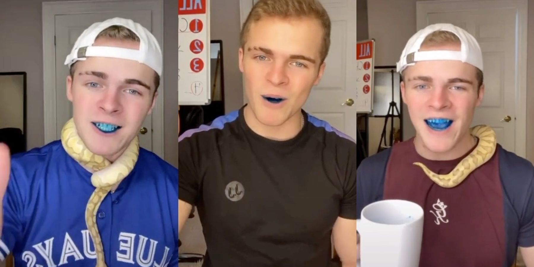 Please Stop Ingesting Food Coloring for TikTok