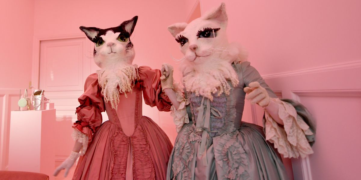 Cats Can Have a Little Fashion Week, As a Treat