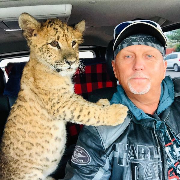 A 'Tiger King' Sequel Is Coming