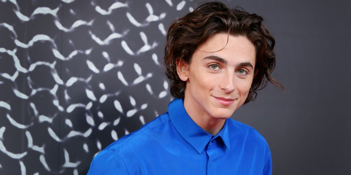 Timothée Chalamet's Shaved Head Is Dividing the Internet
