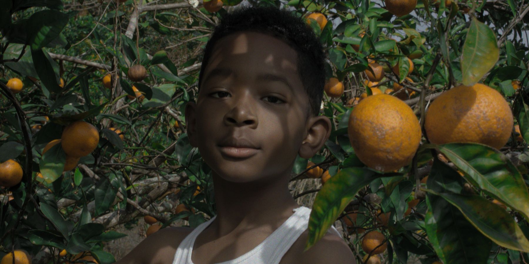 10 Movies Centering Black Experiences (That Aren't 'The Help')