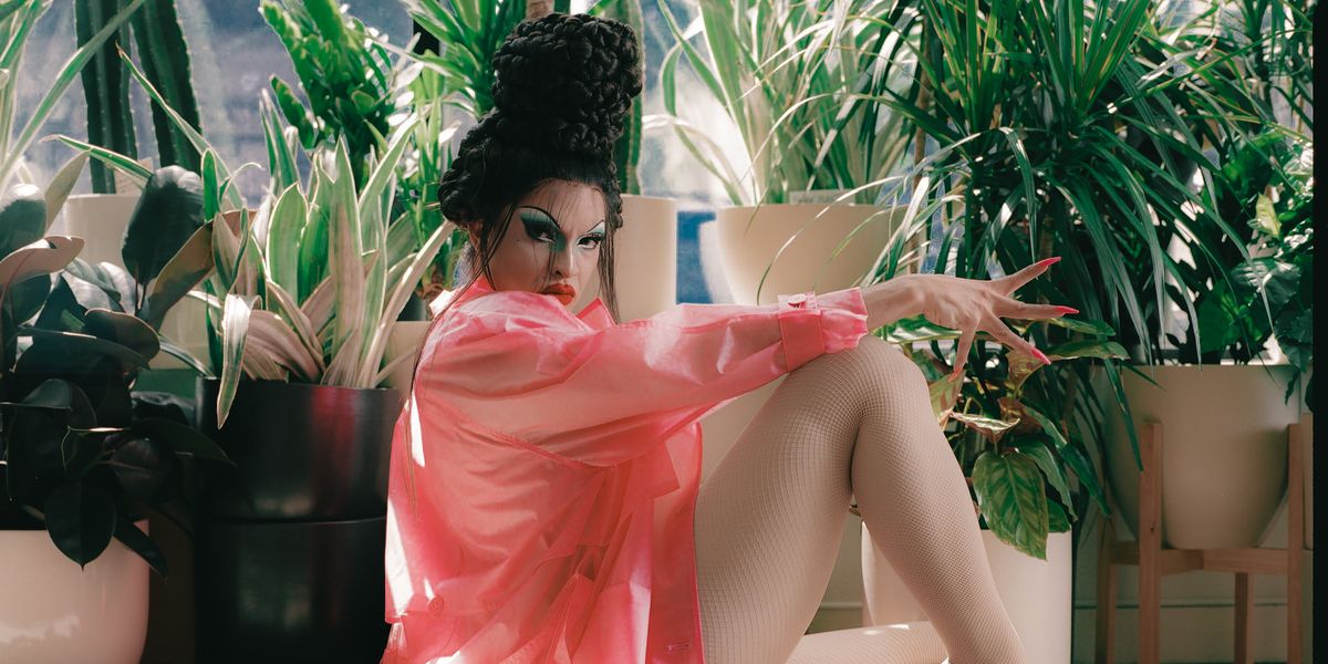 MissLeidy the Plant Lady's Guide to Houseplants