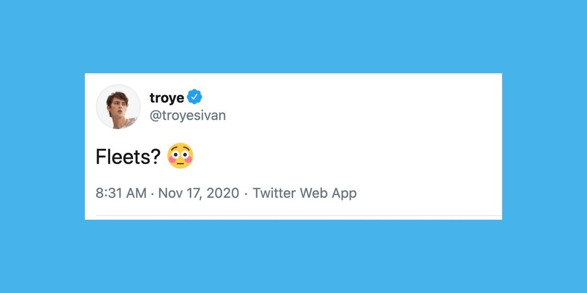 Why Did Twitter Name Its New Feature 'Fleets'?