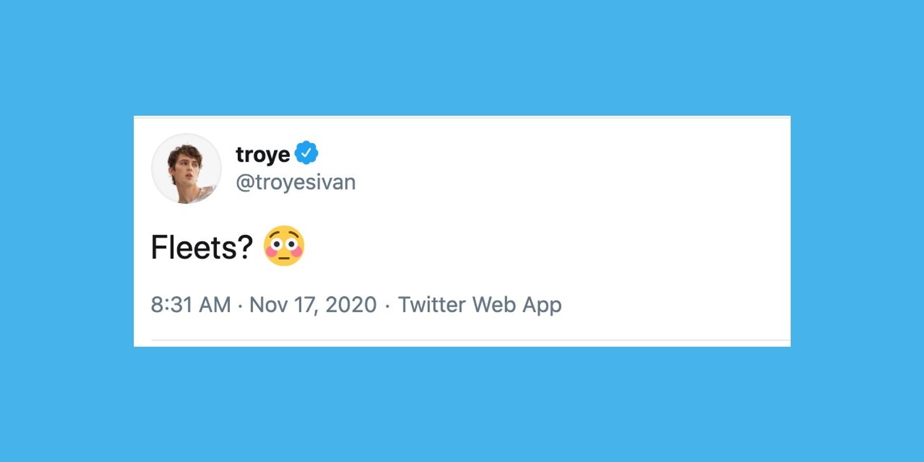 Why Did Twitter Name Its New Feature 'Fleets'?