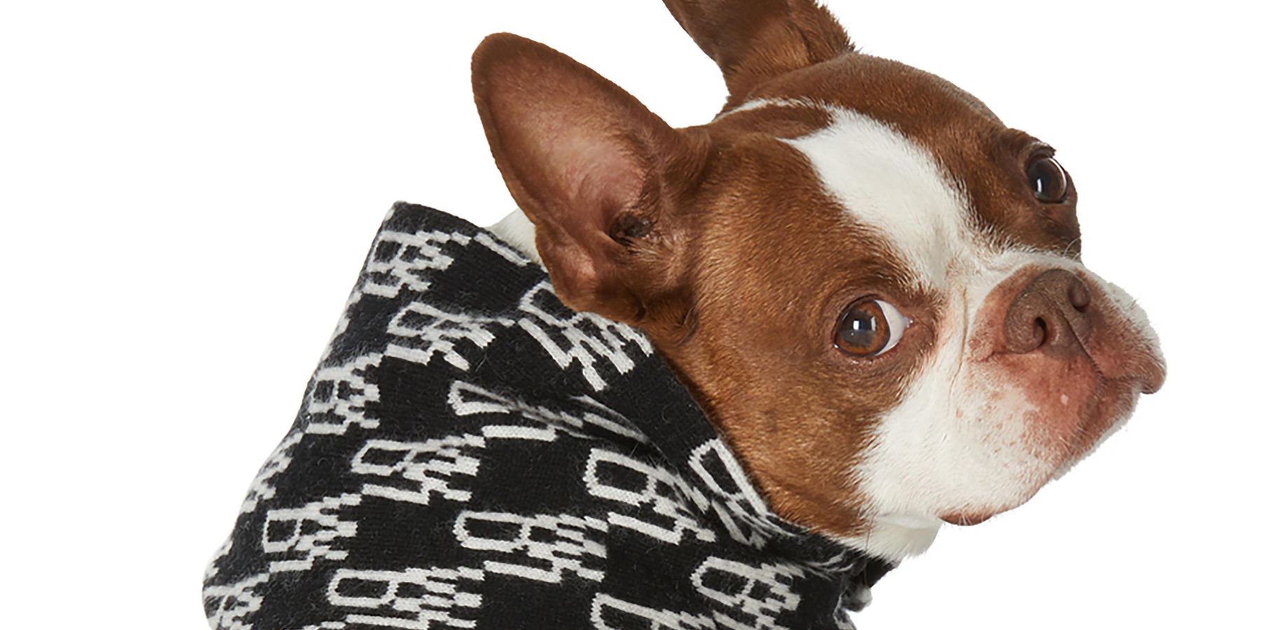 I'm Doing All My Shopping at SSENSE Now