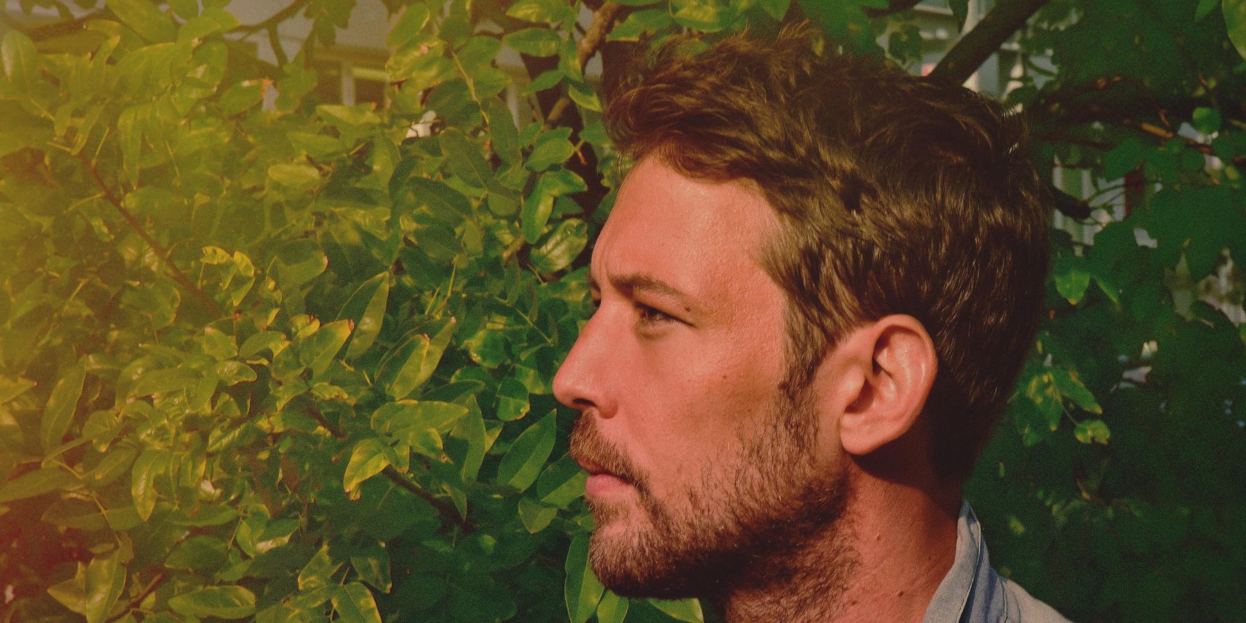 Let Fleet Foxes' 'Shore' Comfort You