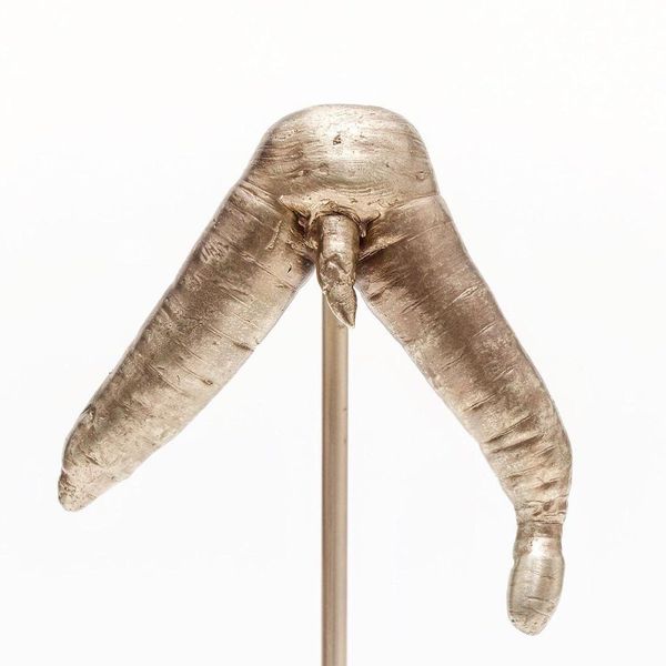 This Carrot Is Being Auctioned Off for Charity