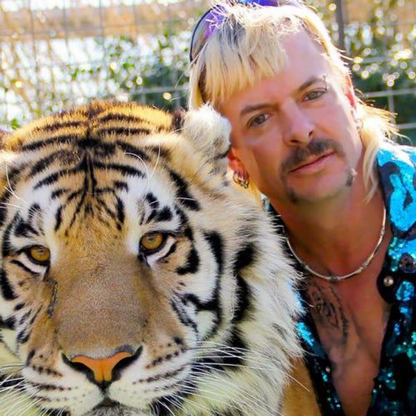 Nicolas Cage's 'Tiger King' Show Is No More