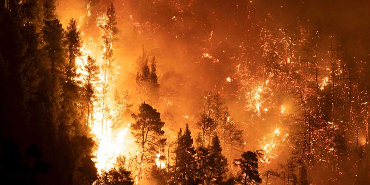 We Have About 10 Years to Save the Planet