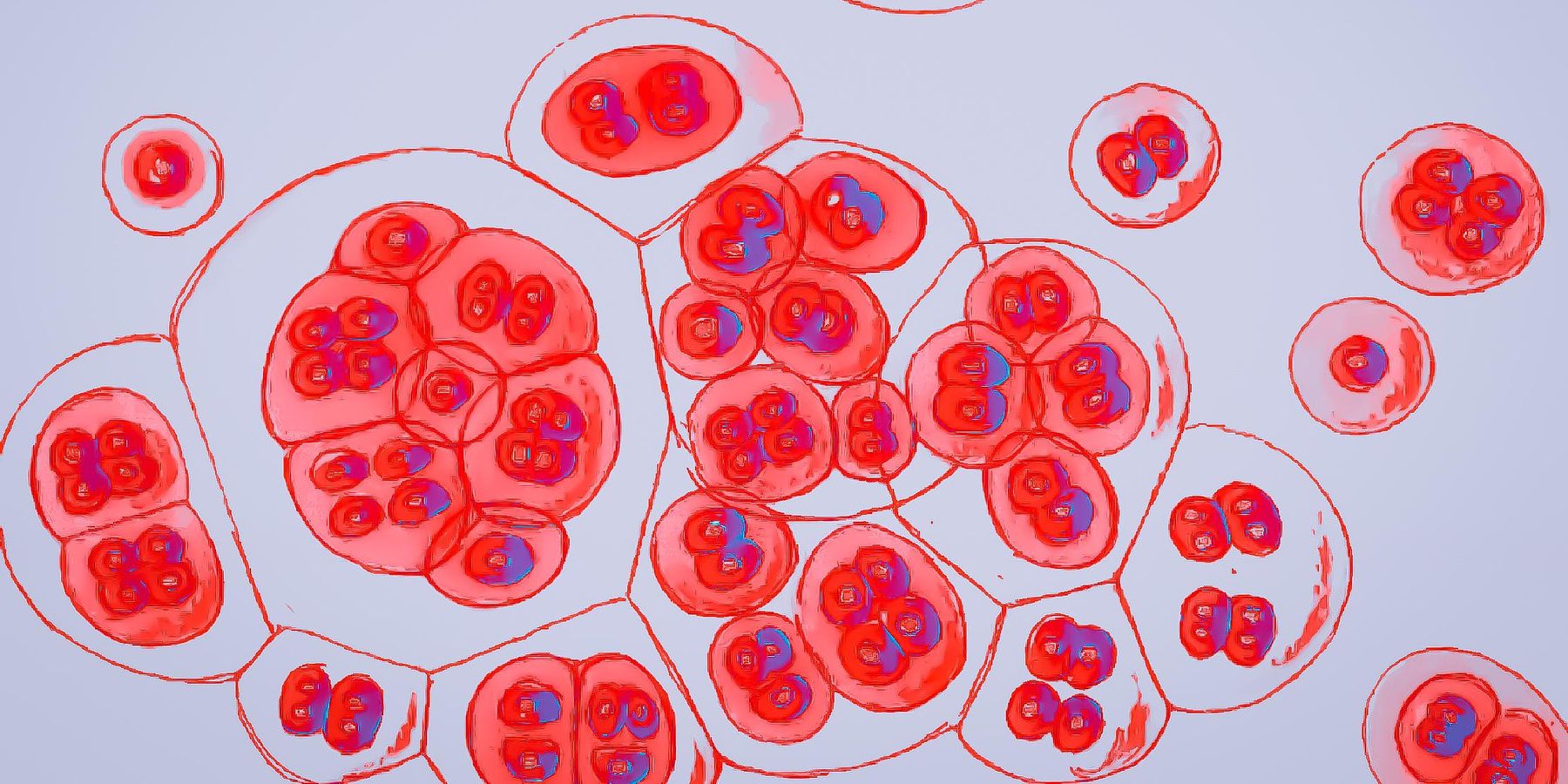 What Does the Future of HIV Prevention Look Like?