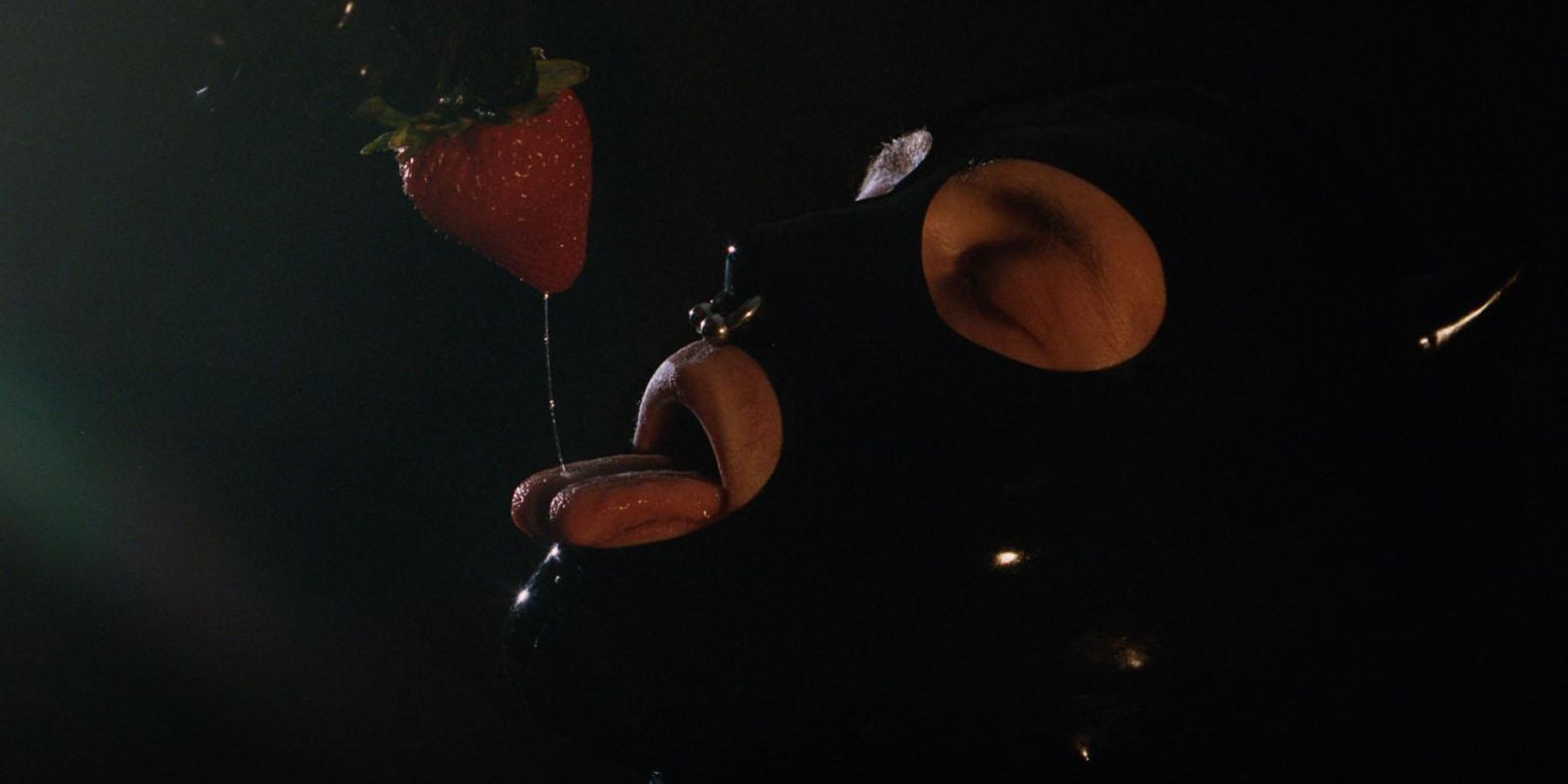 'The Aphrodisiac Kitchen' Is a Queer Coming-of-Age Cookbook for Healing