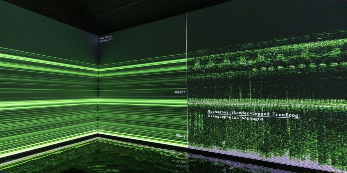 A New Exhibit in Salem Will Stay With You Long After You Leave