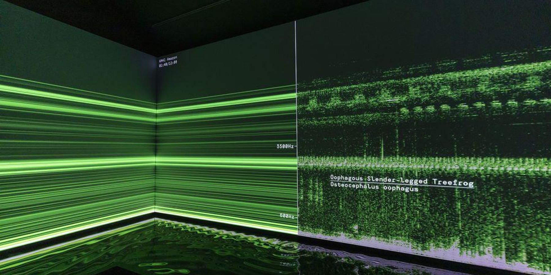 A New Exhibit in Salem Will Stay With You Long After You Leave