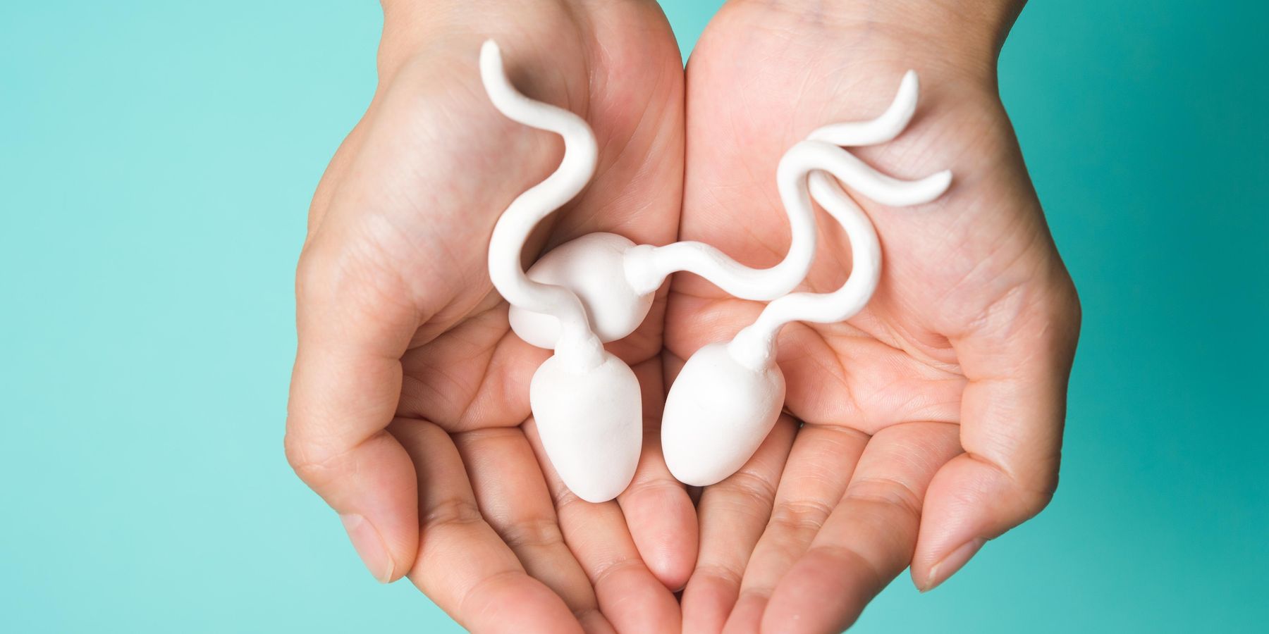 They Made Plastic Out of What?!