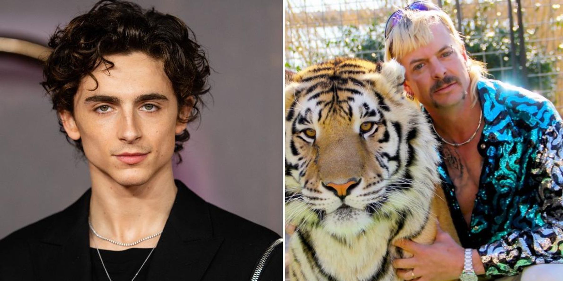 Timothée Chalamet Wanted to Look Like Joe Exotic
