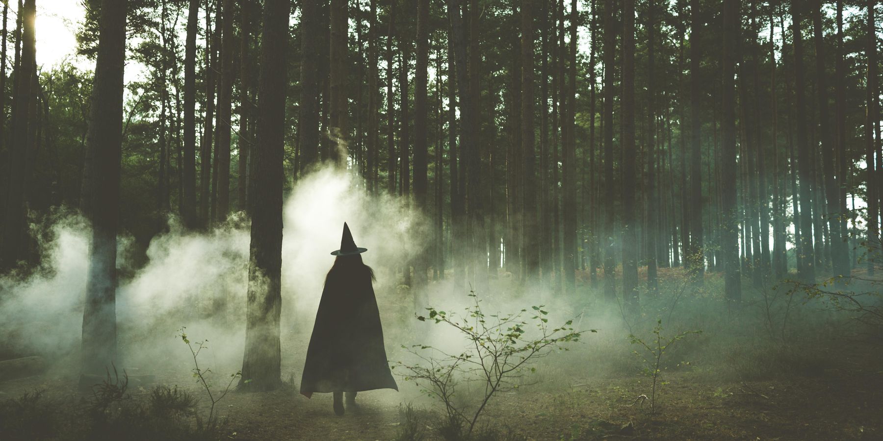 Scotland Apologizes to the Witches