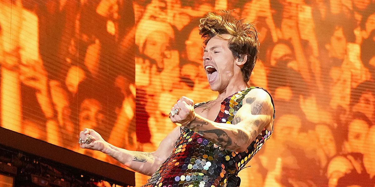 Harry Styles Fans Troll This Conservative Pundit