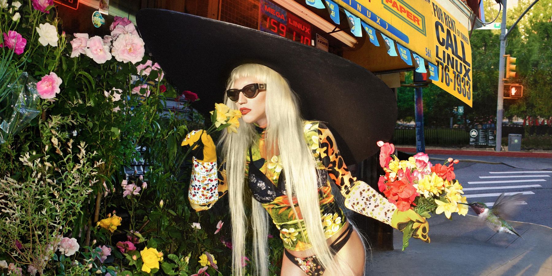 What You Missed Last Month in New York City (According to Linux)