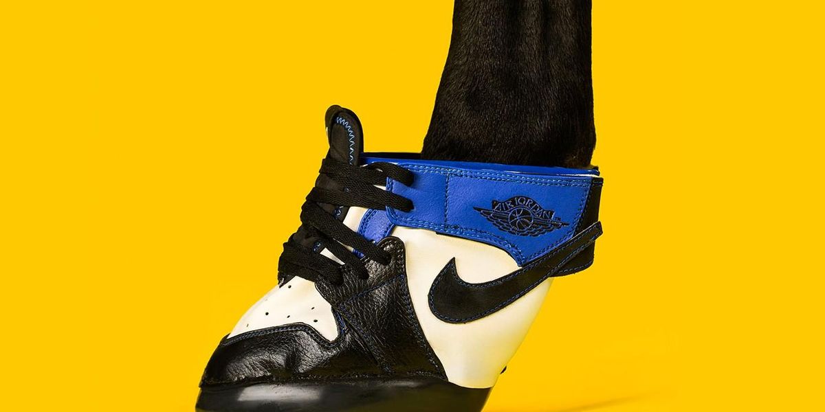 Horses Can Be Sneakerheads Too