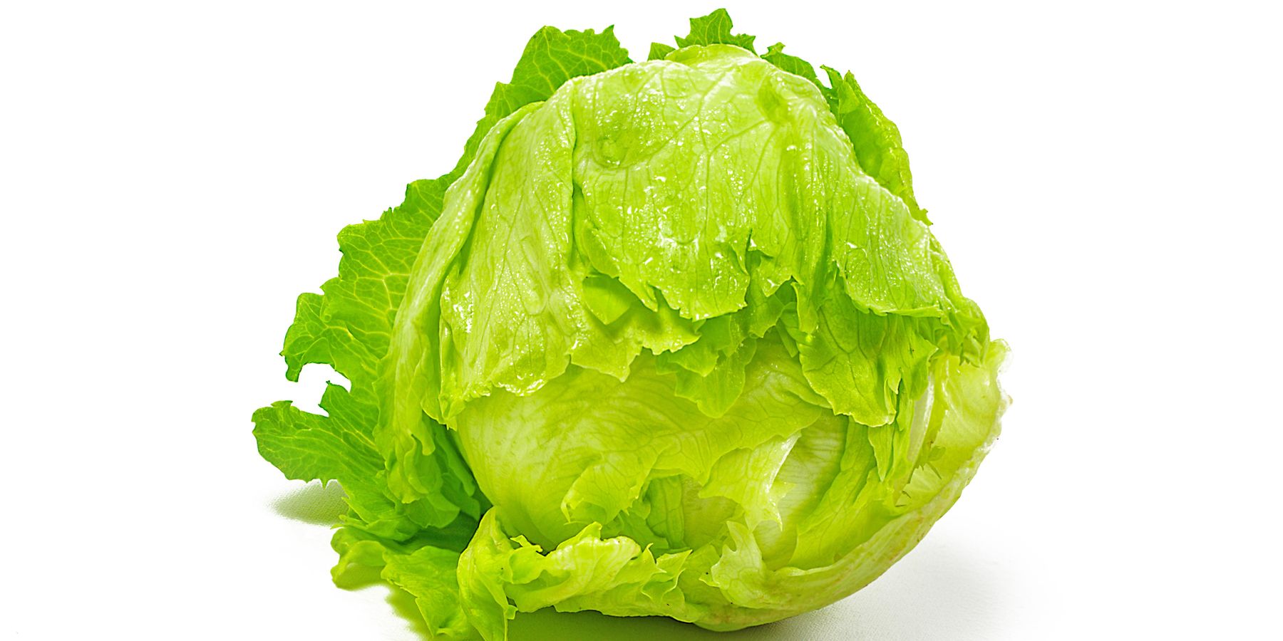 A Head of Lettuce Outlasted UK Prime Minister Liz Truss