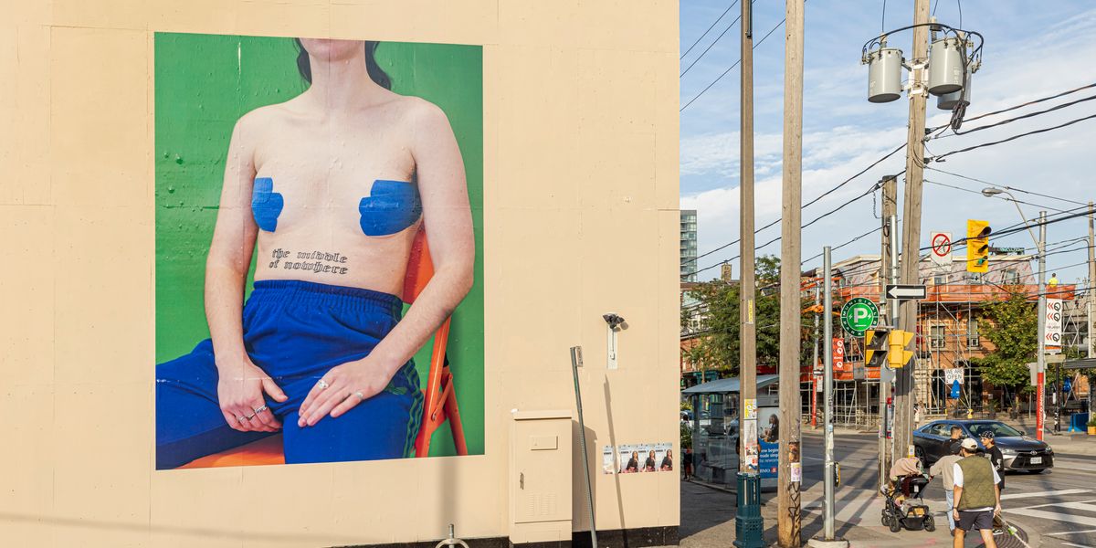 The Toronto Biennial of Art Loses Focus as it Zooms Out