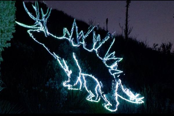 Manuel Barenboim Segal’s Journey in Mixed Media Animation