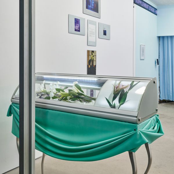 June's Must-See Art Shows in NYC and Beyond