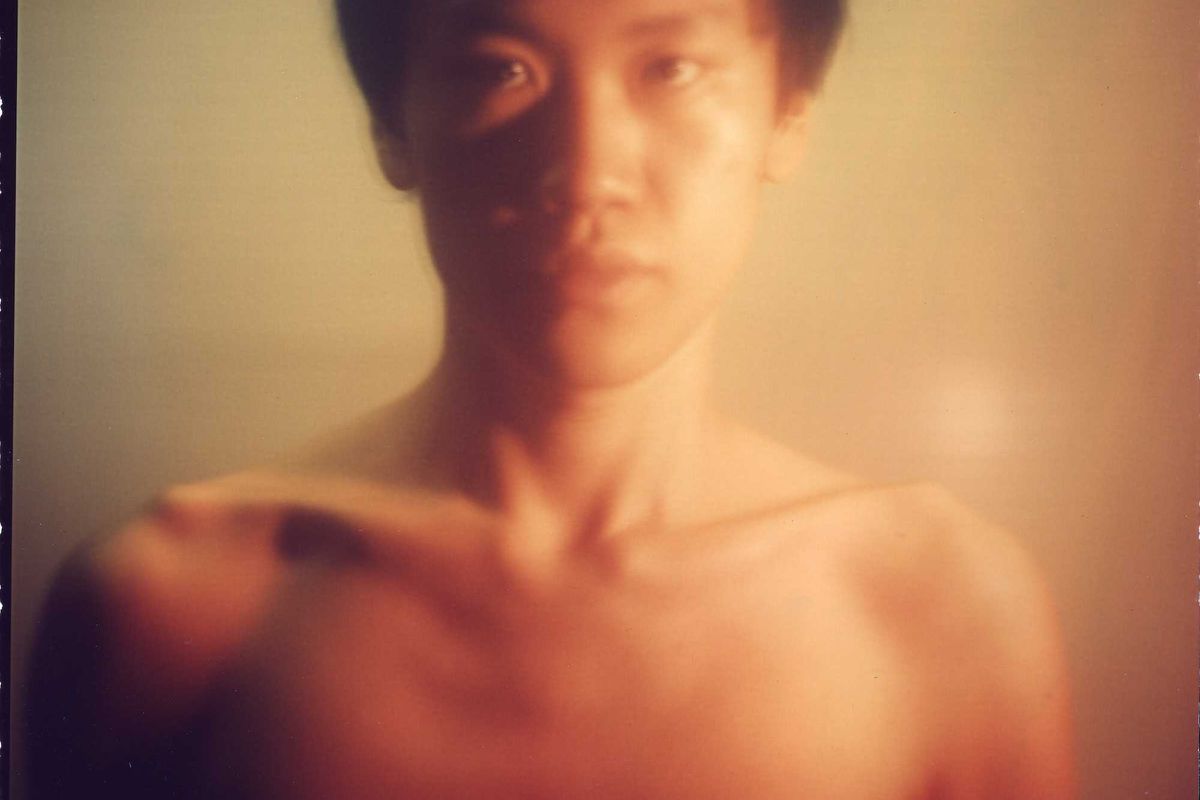 Jackzebra Is Not Endangered