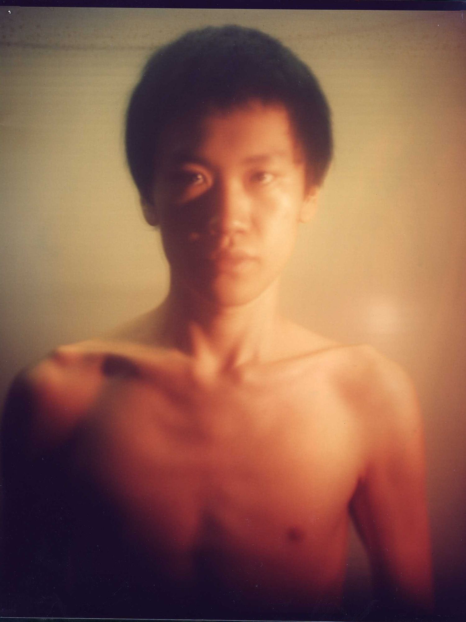 Jackzebra Is Not Endangered