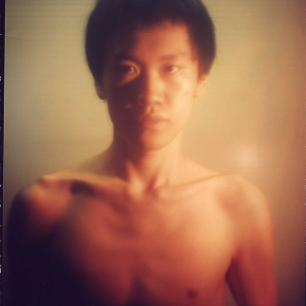 Jackzebra Is Not Endangered