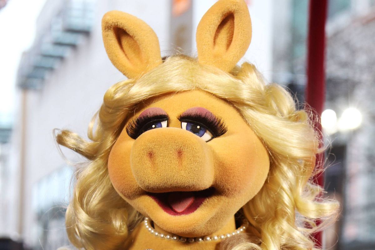 Which Diva Should Star in Cole Escola’s Miss Piggy Movie?