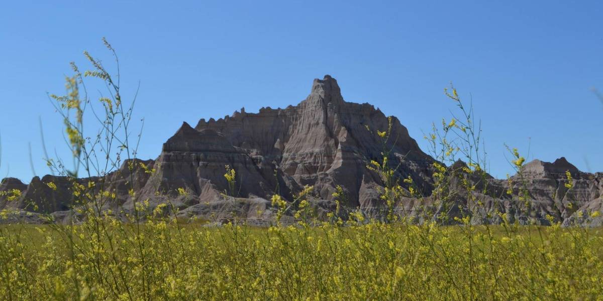 The National Parks Service Defies Trump's Twitter Ban, Tweets About Climate Change From Rogue Account