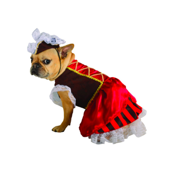 You Can Buy Sexy Dog Halloween Costumes on Fashion Nova